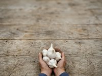 Hands holding fresh white mushrooms on rustic wooden surface, suitable for food photography, cooking blogs, and culinary content.