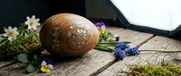 Decorated brown Easter egg with white floral patterns on rustic wooden surface surrounded by spring flowers and moss for holiday celebrations.