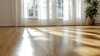 Bright sunlight streaming through white curtained windows casting shadows on polished hardwood flooring in modern minimalist room with potted plant.