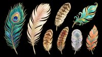 Colorful feather clipart set with peacock, striped, and decorative feathers, isolated on transparent background. Great for stickers, t-shirt design, and print on demand.