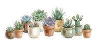 Watercolor succulents in terracotta and ceramic pots arranged in a row, featuring various species with green, blue and purple tones for botanical illustration and home decor projects.