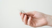 Hand holding clump of fallen hair strands showing hair loss problem on neutral background for health and beauty concepts.