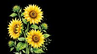 Bright yellow sunflowers with green stems and leaves isolated on transparent background, ready for t-shirt designs, clipart, stickers, sublimation, and print-on-demand projects.