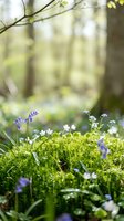 Delicate wildflowers and moss carpet a sunlit forest floor with blurred woodland backdrop, ideal for nature, spring, and botanical design projects.