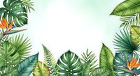 Tropical foliage border with monstera, palm leaves, and bird of paradise flowers on white background, isolated design element for invitations, posters, and digital projects.