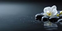 Elegant white orchid with water droplets on black spa stones against dark background, creating serene wellness atmosphere.