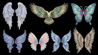 Eight ornate wings and butterfly clipart set, isolated on transparent background. Great for stickers, t-shirt design, print on demand, sublimation, and digital crafts.