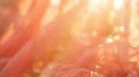 Soft warm bokeh background with peachy orange and golden tones, blurred light effects and glowing particles creating dreamy atmosphere for design projects.