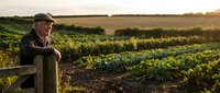 Senior male farmer in cap and work clothes leaning on wooden fence, surveying expansive crop fields at golden hour. Agricultural lifestyle and farming operations.