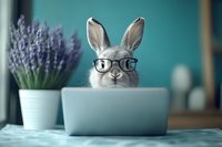 Funny white rabbit wearing glasses working on laptop with lavender plant on desk against turquoise background. Modern home office concept with smart bunny.