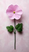 Single pink flower with green leaves on textured pink background, minimalist botanical composition for greeting cards and wall art decor.