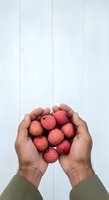 Hands holding fresh lychee fruits against white wooden background. Overhead view of tropical produce for healthy eating, nutrition, and food styling concepts.