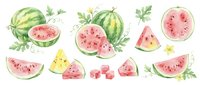 Watercolor watermelon slices and whole fruits with green leaves isolated on white background for summer design projects and healthy food concepts.
