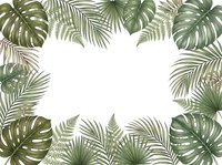 Tropical leaves frame with monstera, palm fronds and ferns creating natural border on white background for summer design projects.