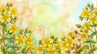 Watercolor St. John's wort flowers with yellow blooms framing a soft textured background, perfect for botanical prints, greeting cards, and nature designs.