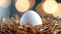 Fresh white egg nestled in natural straw hay nest with soft golden bokeh lights in background creating warm atmospheric farm scene.