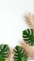 Tropical palm leaves and monstera foliage frame on neutral beige background with copy space for summer design projects and botanical decorations.