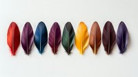 Colorful feathers arranged in row on white background showing vibrant autumn colors from red to purple for craft and design projects.