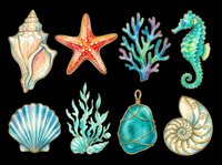 Isolated ocean creatures and shells on transparent background, ready for t-shirt design, clipart, stickers, print-on-demand products and sublimation projects.