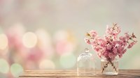 Pink cherry blossom branches in glass vase on wooden table with soft bokeh background for spring home decor and floral arrangements.