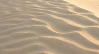 Golden sand dunes with rippled texture patterns created by wind erosion in warm sunlight for desert landscape backgrounds and nature designs.
