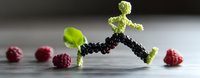 Running figure made from fresh broccoli and blackberries on light surface with scattered raspberries, creative healthy food art composition.