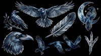 Raven and crow isolated design elements on transparent background. Dark blue bird illustrations ready for t-shirt design, clipart, stickers, sublimation and print-on-demand projects.