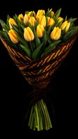 Fresh yellow tulip bouquet wrapped in decorative orange and black pattern paper against dark background, elegant floral arrangement for special occasions.