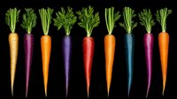 Fresh colorful rainbow carrots in row on black background, organic healthy vegetables isolated for food design and healthy eating concept.