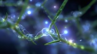 Glowing blue bioluminescent particles and light trails intertwining with green plant stems in dark macro photography, creating magical natural atmosphere.