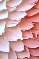 Delicate pink and white paper petals arranged in overlapping layers create soft dimensional pattern, suitable for wedding designs and romantic backgrounds.