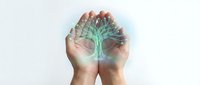 Hands holding glowing tree with green light, symbolizing growth, sustainability, environmental care, and eco-friendly business concepts for design projects.