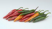 Fresh colorful chili peppers arranged in row on light background, including red, orange and green varieties, showing natural texture and glossy surface.