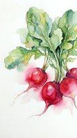 Fresh red radishes with green leafy tops rendered in watercolor style on white background. Suitable for culinary, organic produce, and food illustration projects.