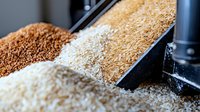 Macro shot of various types of sugar granules in black scoop, showing brown, white and raw sugar textures with selective focus on crystals. Food industry concept.