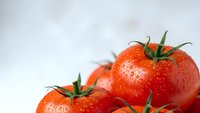 Fresh ripe red tomatoes with water droplets and green stems on white background for healthy cooking and organic food concepts.