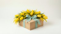 Wooden gift box with yellow mimosa flowers and mint ribbon on white background for spring celebration and International Women's Day greeting cards.