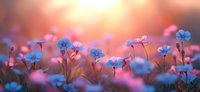 Small blue wildflowers blooming in soft golden sunlight with warm bokeh background creating dreamy spring meadow scene for nature photography and design.