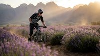 Male cyclist riding mountain bike through purple lavender field at golden hour sunrise with dramatic mountain backdrop creating adventurous outdoor sports scene.