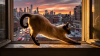 Cat stretching on windowsill with sunset cityscape view, urban skyline at dusk with warm golden light, feline silhouette against evening sky.