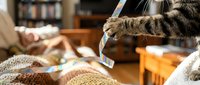 Young tabby cat with striped fur playing with white string toy on beige knitted blanket in cozy home interior with wooden furniture and bookshelf.