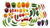 Colorful assortment of fresh peppers and chili varieties arranged on white background, isolated for cooking and culinary design projects.