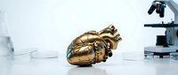 Golden anatomical heart model on laboratory table with microscope in medical research facility for cardiology education and healthcare training.