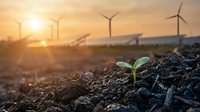 Green seedling sprouting from soil with wind turbines and solar panels in background at sunset, symbolizing renewable energy and environmental growth.