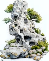 Watercolor painting of eroded limestone rock formation with moss and small plants growing between crevices, showing natural texture and organic shapes in gray tones.