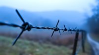 Sharp barbed wire fence stretches into distance against blurred blue mountain landscape background, creating dramatic perspective and mood in rural setting.