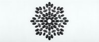 Black sunflower seeds arranged in decorative circular mandala pattern on white background for healthy snack and nutrition design concepts.