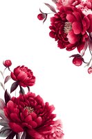 Vibrant red peonies with buds on white background, elegant floral composition for wedding invitations, greeting cards, and wall art.