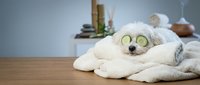 Relaxing spa wellness setup with cucumber eye mask on fluffy white towels, candles and bath accessories creating peaceful self-care atmosphere.