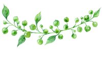 Watercolor green branch with round berries and leaves, botanical art element for nature-inspired designs and decorative compositions on white background.
